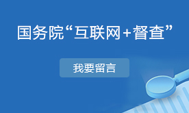 國務(wù)院“互聯(lián)網(wǎng)+督查”
